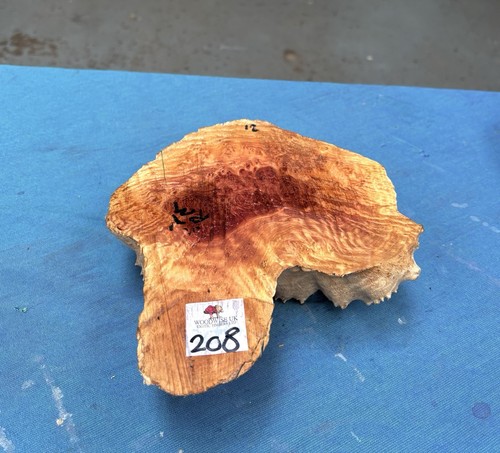 Red mallee burl - burl, /