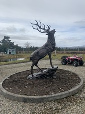 Stag Life size Bronze statue