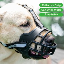 Can Drink Water Adjustable Dog