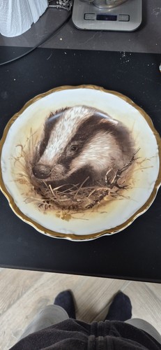 Bone china england badger - england,