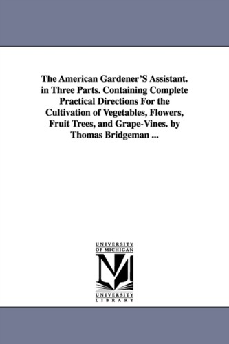 Bridgeman american - -,