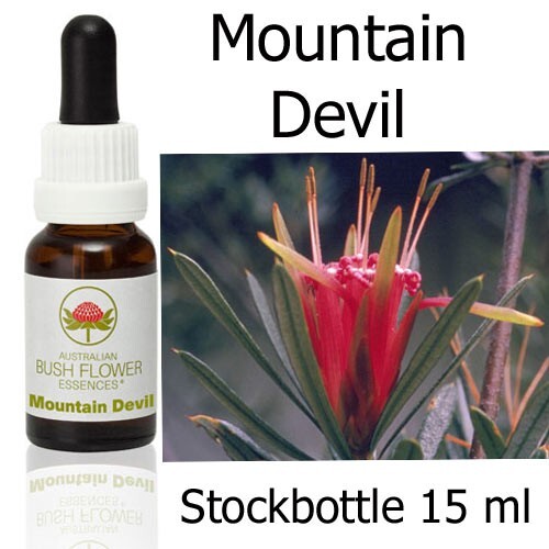 Mountain devil australian bush - mountain,