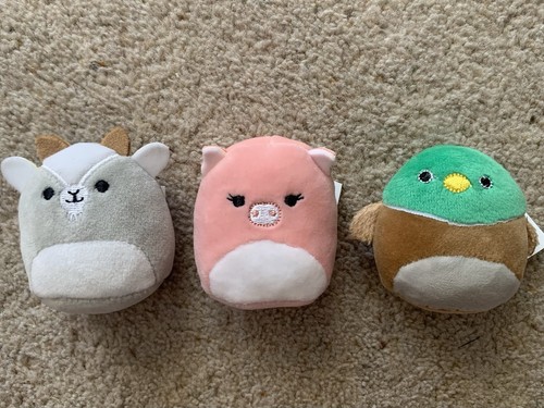 New squishmallows petra - squishmallows,