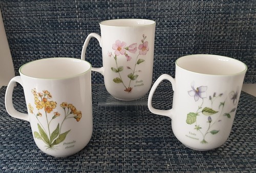 Rose england fine bone - of,