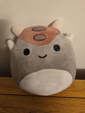 Squishmallow Ainhoca the Ankylosaurus Dinosaur Plush Soft Toy 