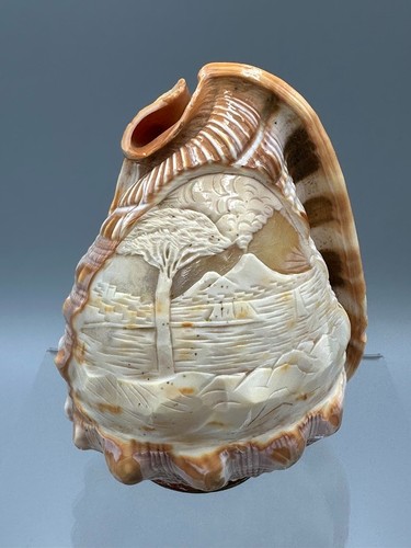 Vintage carved cameo shell - carved,