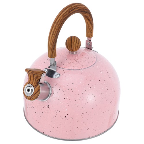 Kettle stainless steel camping - stainless,