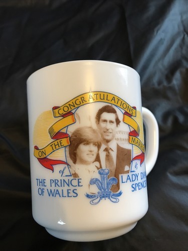 The prince wales and - of,