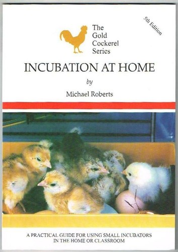 Incubation home new - home,
