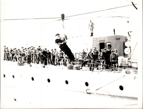 1950 royal navy - royal,