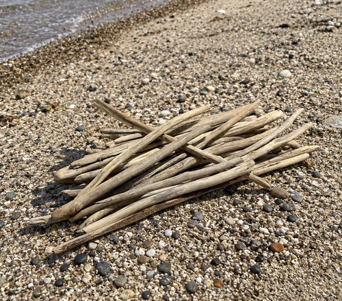 Snake river driftwood pieces - snake,