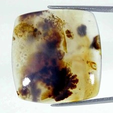 31.00Cts Natural Montana Agate