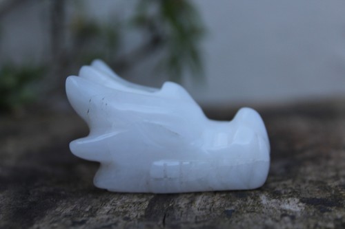 Crystal dragon skull head snow - skull,