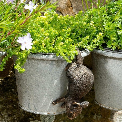 Pot buddies mouse garden plant - buddies,