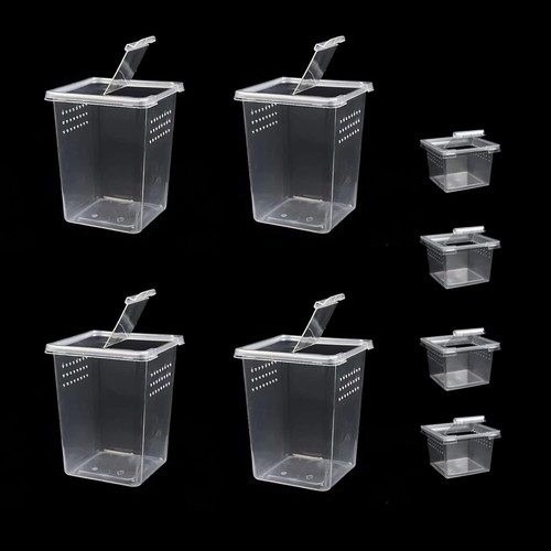 Pack small reptile breeding - small,
