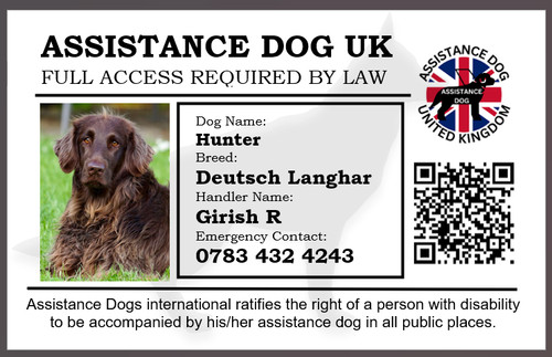 Assistance dog service - |,