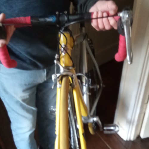 Marin racer bike