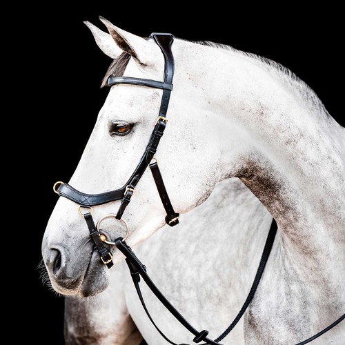 Micklem multi bridle - 2.0,