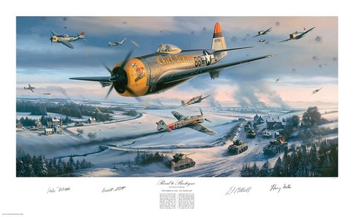 Thunderbolts during fight - p-47,
