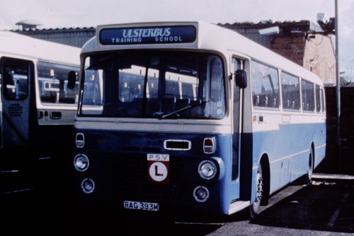 Original bus slide - slide, n