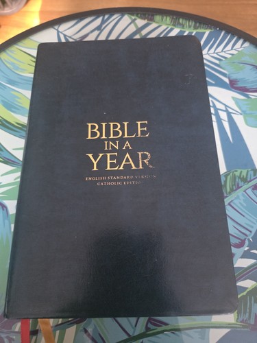 Bible year esv catholic - bible,