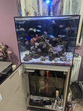 TMC Marine 600 Fish Tank With Sump Jump Guard And TMC Reef Photon Light 