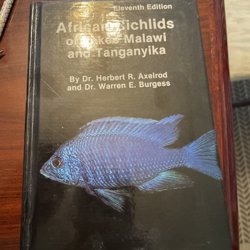 African cichlids lakes - african,