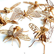 Insect Woodcraft Construction