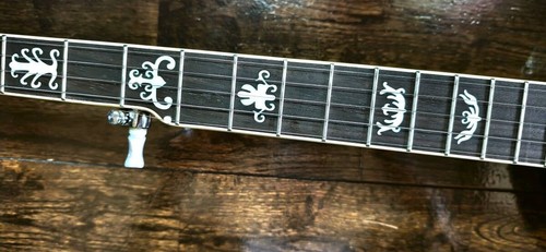 String archtop banjo - 5-string,