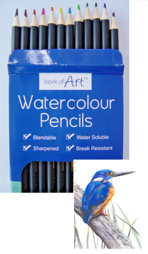 Watercolour pencils artist - watercolour,