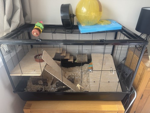 Large hamster cage - hamster,
