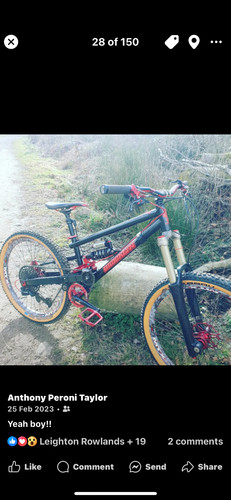 Mountain bike - mountain,