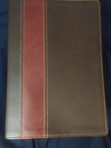 Life application study - life, bible