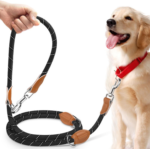 Dog training lead - dog,