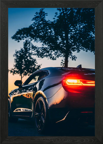 Chevrolet camaro framed - chevrolet, ss