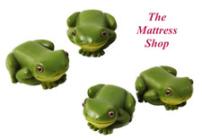 ~❤️~RAINFOREST TREE 6cms