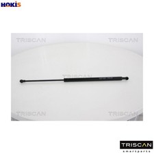 GAS SPRING BOOTCARGO AREA 8710