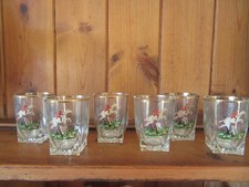 Vintage Glasses  A Set of 6