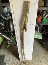 HAZEL SHANK WALKING STICK KNOB Straight Lot 12