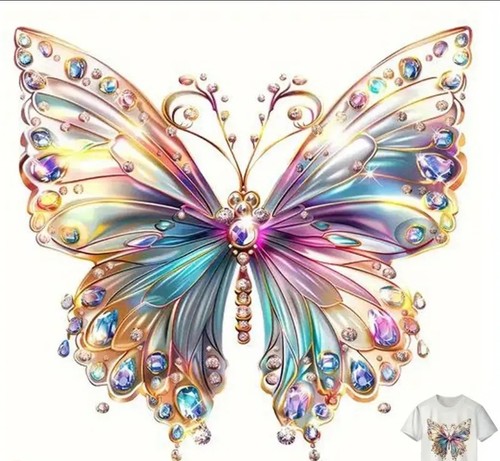 Colourful butterfly large diy - butterfly,