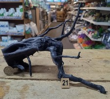 Black Moor Root Wood Small Individual Pieces Aquarium Scape Fish Tank Bogwood