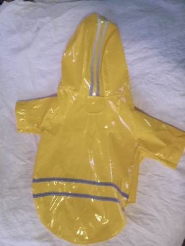 Dog raincoat bright - dog,