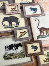 Animal reverse glass paintings - reverse,