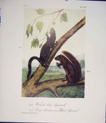 Original old antique print - old,