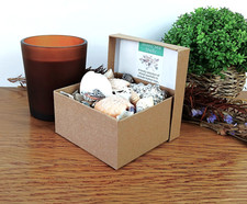 150g Mixed Natural Seashells