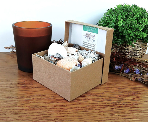 150g mixed natural seashells - 150g,
