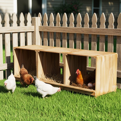 Chicken nesting boxes - nesting,