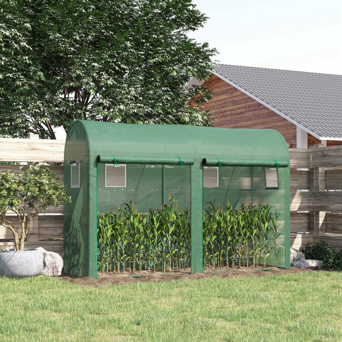 Plant tomato growth greenhouse - growth,
