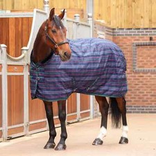 Shires Tempest Plus 100G