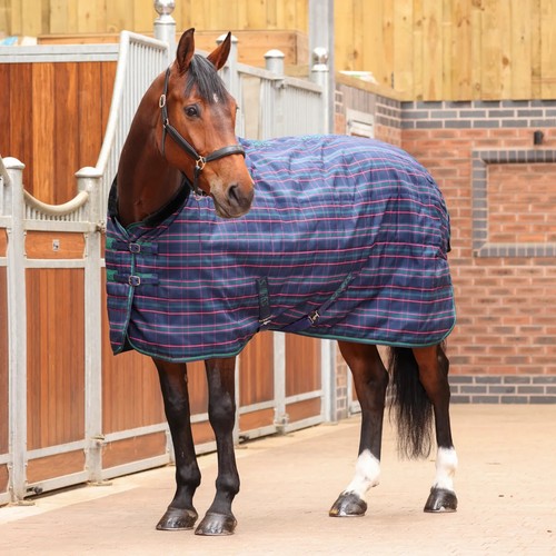 Shires tempest plus - shires, 100g